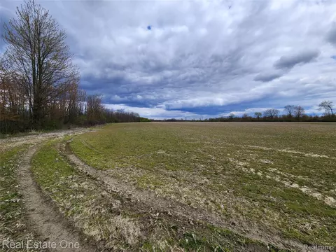 2320 Braidwood Rd, Riley, MI 48041 photo 18