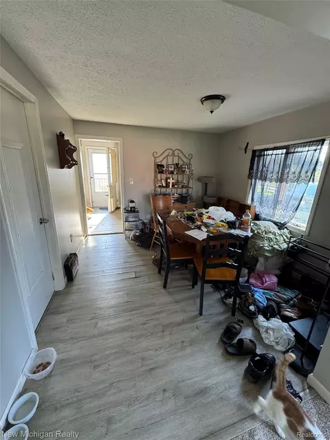 Other - 305 E Rolfe, Perry, MI 48872 photo 2 of 8