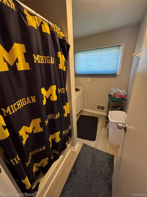 Bath - 305 E Rolfe, Perry, MI 48872 photo 3 of 4