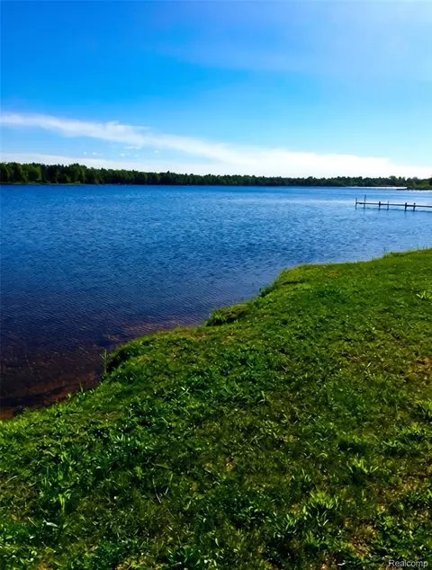 32993 W Birch Shores Dr, Trout Lake, MI 49793