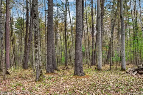 0 E Pinecrest Dr, Gladwin, MI 48624 photo 7