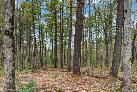 0 E Pinecrest Dr, Gladwin, MI 48624 photo 9