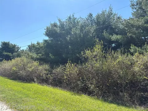 Parcel B V/l Wicha Drive, Burtchville, MI 48059