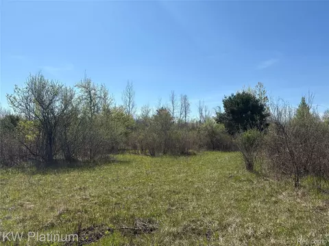 Parcel C Wicha Drive, Burtchville, MI 48059