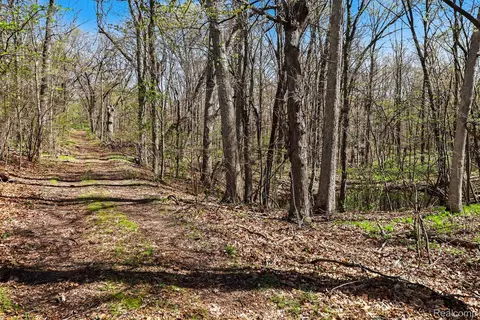 Parcel #3 Milford Rd, Rose, MI 48442