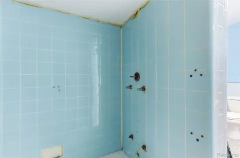 Bath - 19621 Wood St, Melvindale, MI 48122 photo 3 of 8