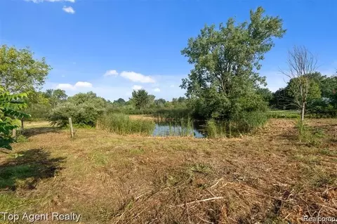 4499 West St, Leonard, MI 48367