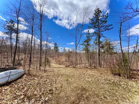 Exterior - 10931 Roberts Rd N, Maple Forest, MI 49733 photo 11 of 14