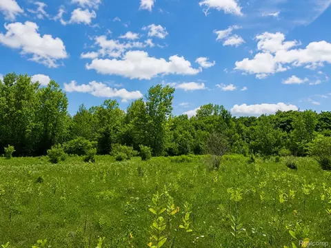 115 White Tail Dr, Grand Blanc, MI 48439