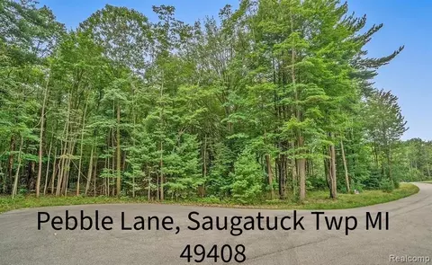 0 Pebble Ln, Saugatuck, MI 49408