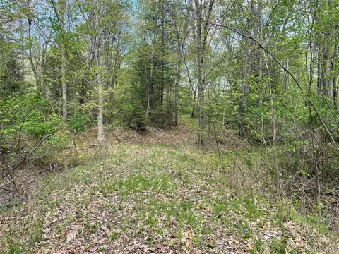 Na Oakridge Drive, Sims, MI 48703