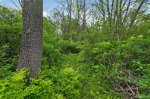 Other - 6235 Flushing Rd, Mount Morris, MI 48433 photo 11 of 13