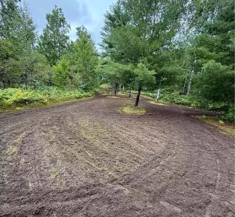 5469 Orchard Trail Rd, Frederic, MI 49733 photo 17