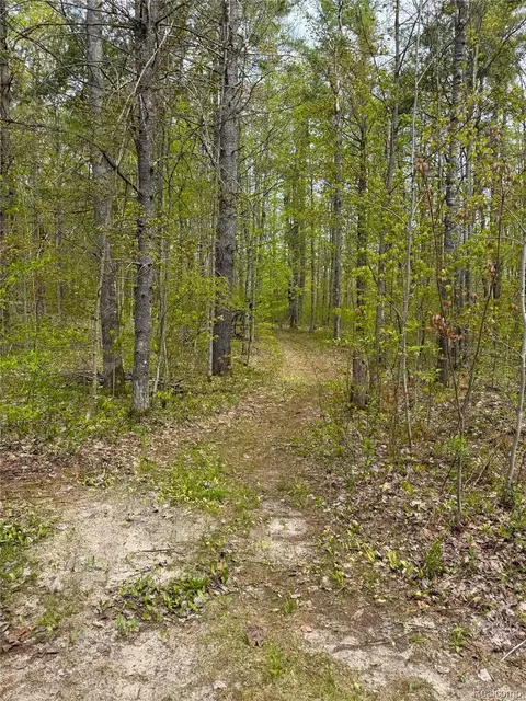5469 Orchard Trail Rd, Frederic, MI 49733 photo 19