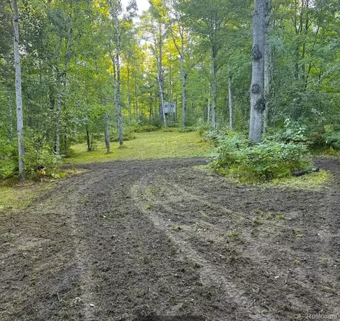 5469 Orchard Trail Rd, Frederic, MI 49733 photo 18