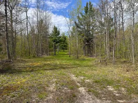 5469 Orchard Trail Rd, Frederic, MI 49733 photo 27