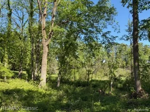 0000 Old Mill Rd, Hamburg, MI 48169
