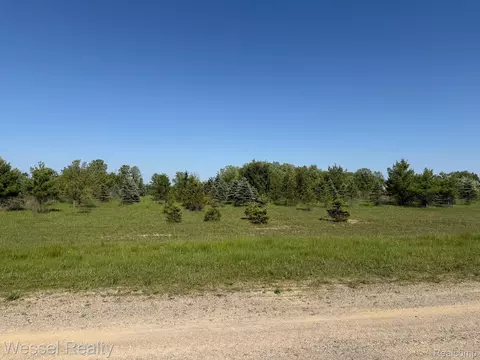 00 Windmill Ln, Imlay, MI 48444