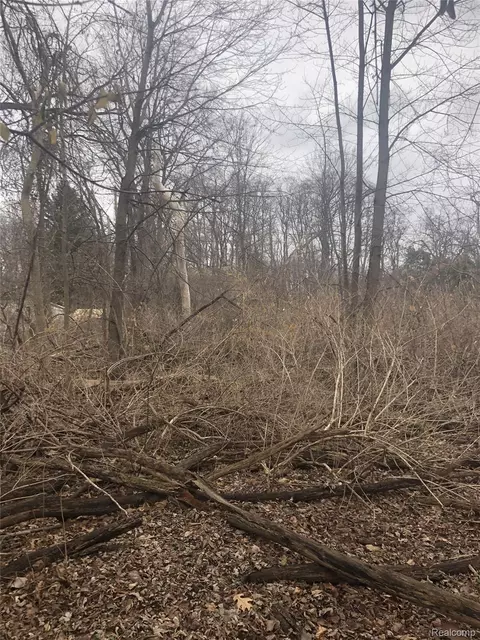 0 Massena Ave, Commerce, MI 48382 photo 3