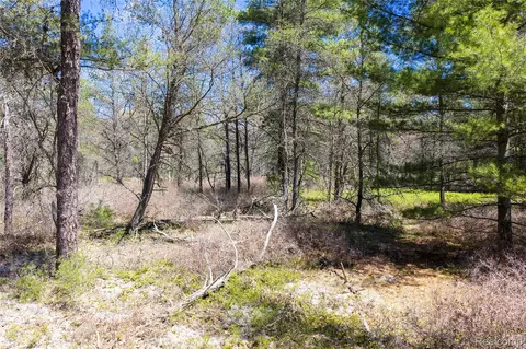 000 Scott Rd, Baldwin, MI 48730 photo 6