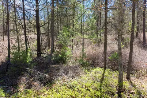 000 Scott Rd, Baldwin, MI 48730 photo 17
