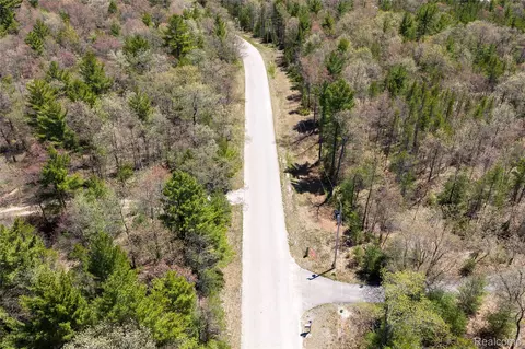 000 Scott Rd, Baldwin, MI 48730 photo 3