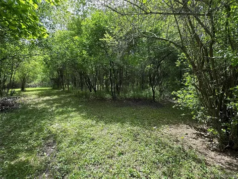 Exterior - 6161 River Rd, Flushing, MI 48433 photo 22 of 26