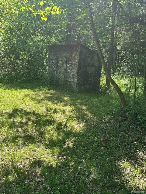 Other - 6161 River Rd, Flushing, MI 48433 photo 6 of 22