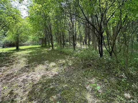 Exterior - 6161 River Rd, Flushing, MI 48433 photo 13 of 26