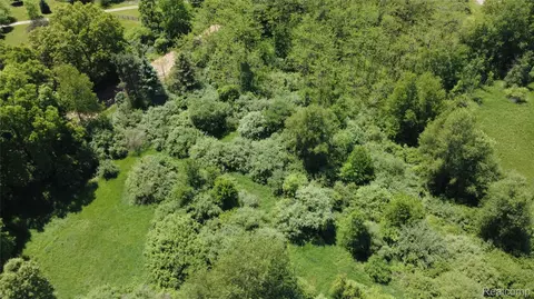000 Wasson Rd, Unadilla, MI 48137 photo 3