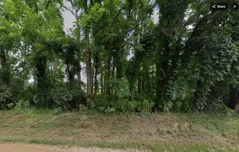 000 Wasson Rd, Unadilla, MI 48137 photo 2