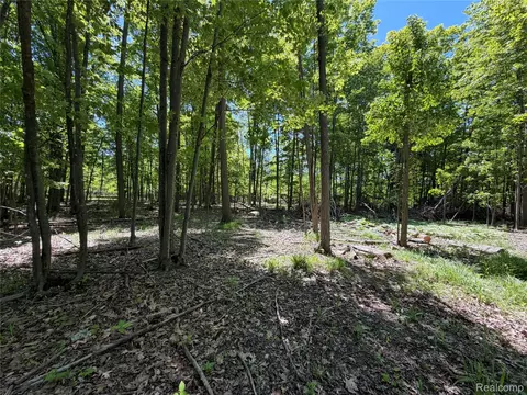 00 Dudley, Lynn, MI 48416