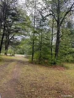 5055 Adams Rd, Sherman, MI 48624