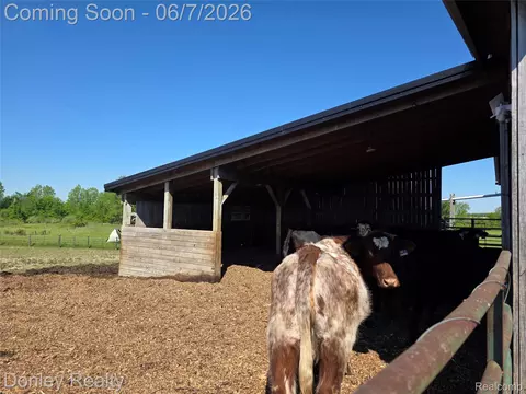 Other - 5121 Cotter Rd, Marlette, MI 48453 photo 10 of 28