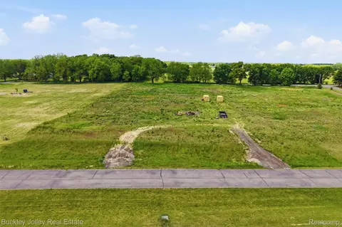 0000 Gregory Ridge Lot 4 Rd, Unadilla, MI 48137 photo 7