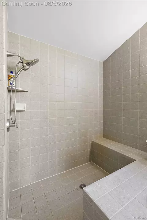 Bath - 62502 Wayfaring Rd, Ray, MI 48096 photo 7 of 10