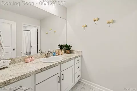 Bath - 603 Land Brg, Perry, MI 48872 photo 3 of 4