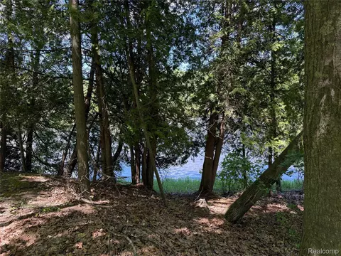 19672 Indian Drive Dr, Green, MI 49338