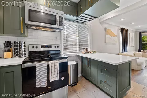Kitchen - 674 E Webster St, Ferndale, MI 48220 photo 3 of 3