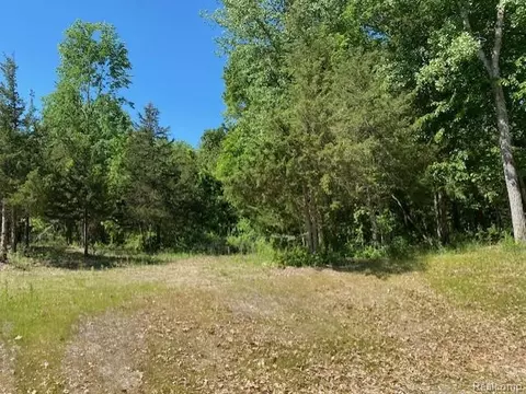 lot5 Dollar Ridge Ln, Green Oak, MI 48178