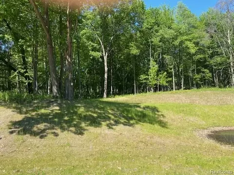 lot5 Dollar Ridge Ln, Green Oak, MI 48178