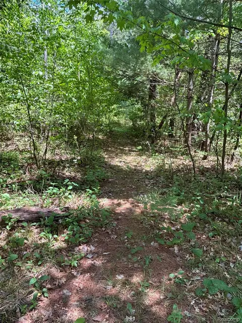 Other - 955 Aeronca St, Big Creek, MI 48636 photo 14 of 15