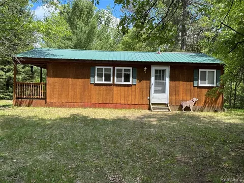 955 Aeronca St, Big Creek, MI 48636