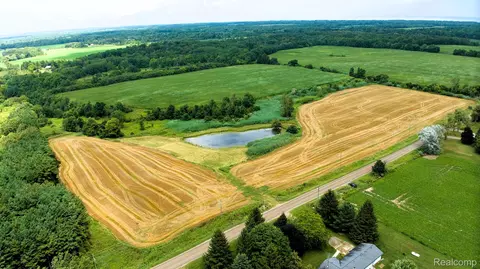 Vl Custer Road, Sanilac, MI 48419
