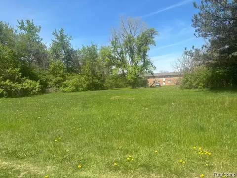 0000 Ecorse, Romulus, MI 48174 photo 5