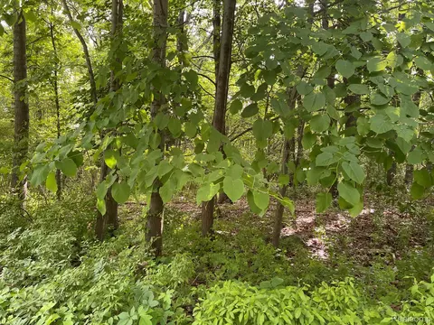 08 Tipsico Lk, Highland, MI 48357