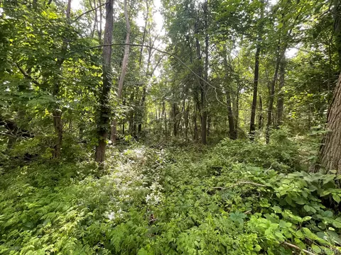 09 Tipsico Lake Rd, Highland, MI 48357