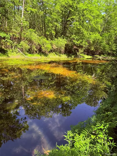 2620 Weaver Rd, Hume, MI 48467