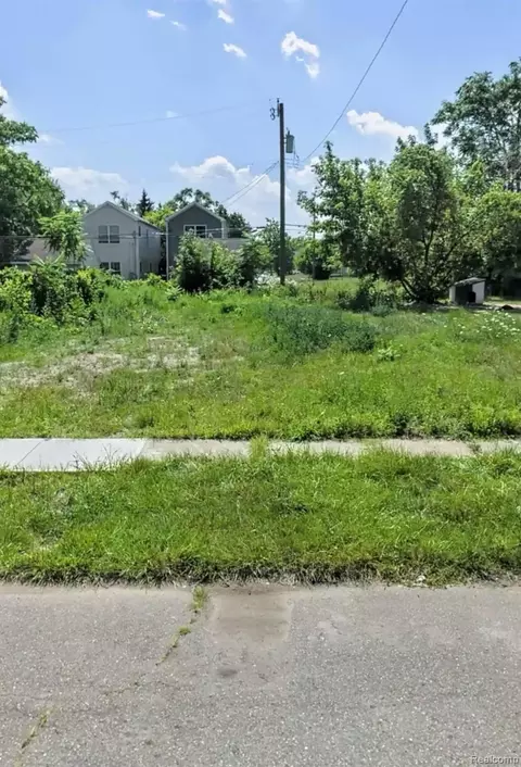 491 W Lantz St, Detroit, MI 48203