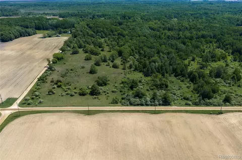Parcel A Freiburger Rd, Argyle, MI 48472